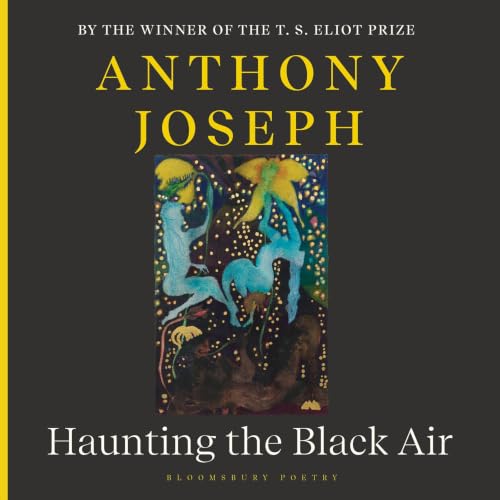 Cover of Haunting the Black Air