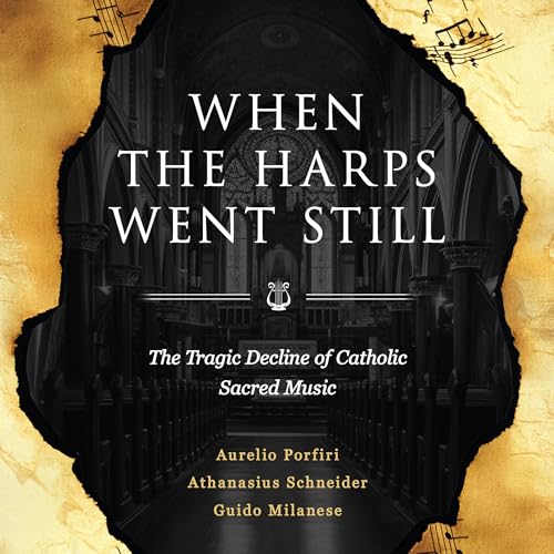 Cover of When the Harps Went Still