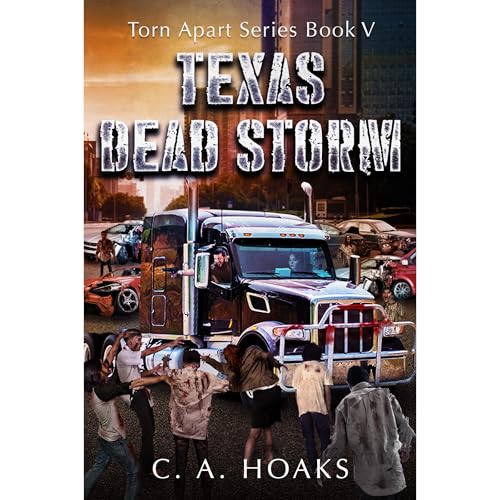 Cover of Texas Dead Storm