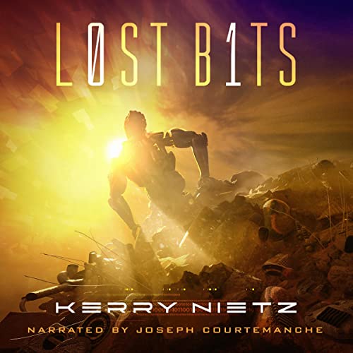 Cover of Lost Bits