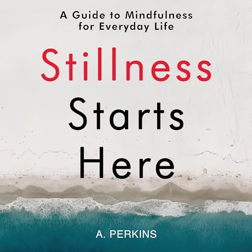 Cover of Stillness Starts Here