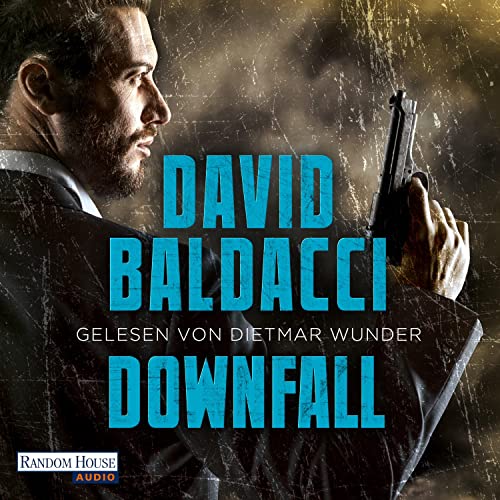 Cover of Downfall (German edition)