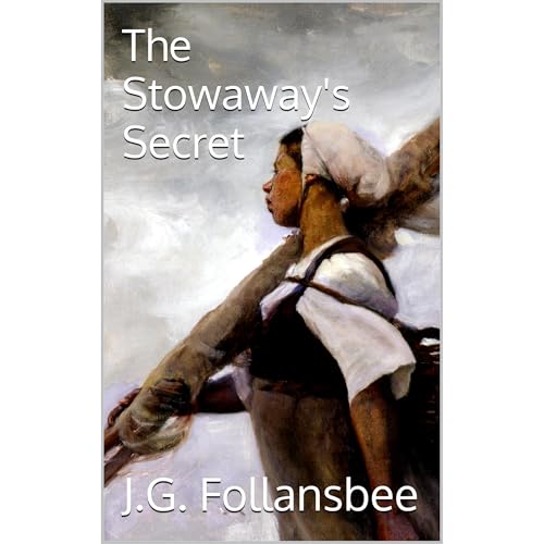 Cover of The Stowaway's Secret
