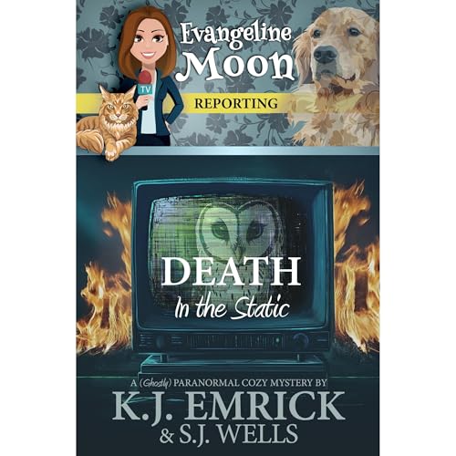 Cover of Death in the Static
