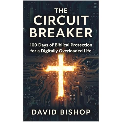 Cover of The Circuit Breaker