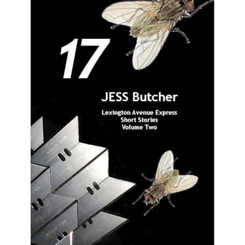 Cover of 17