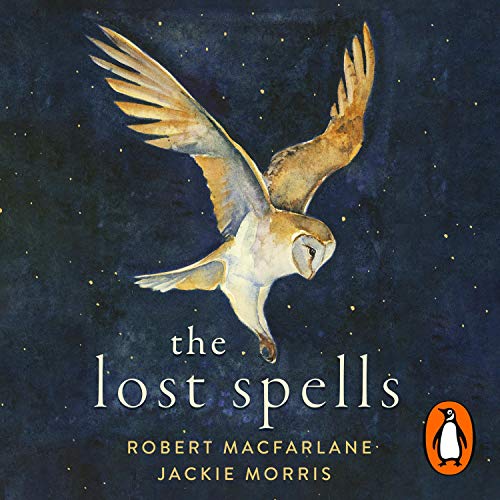 Cover of The Lost Spells