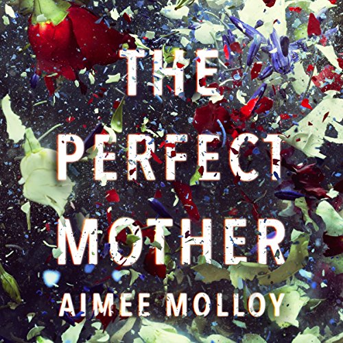 Cover of The Perfect Mother
