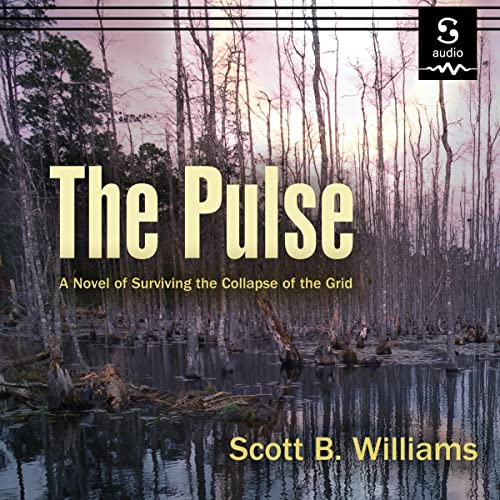 Cover of The Pulse