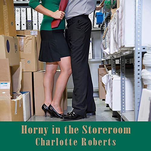 Cover of Horny in the Storeroom