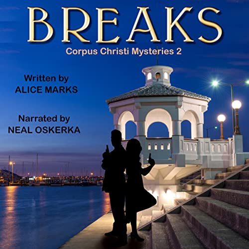 Cover of Breaks