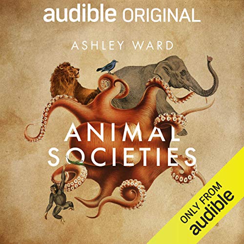 Cover of Animal Societies
