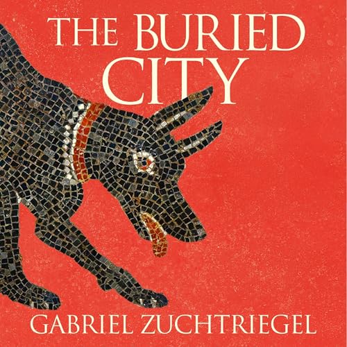 Cover of The Buried City
