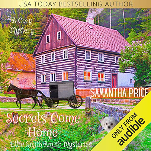 Cover of Secrets Come Home