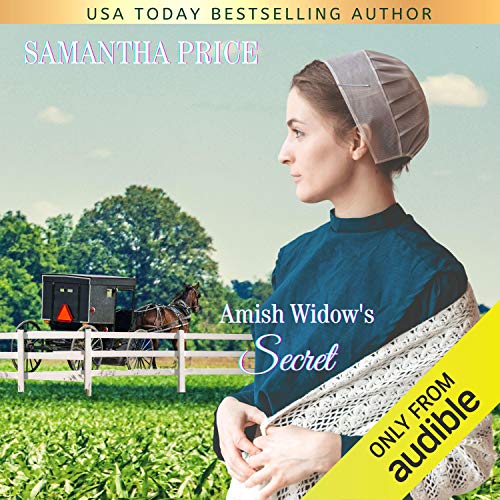 Cover of Amish Widow's Secret