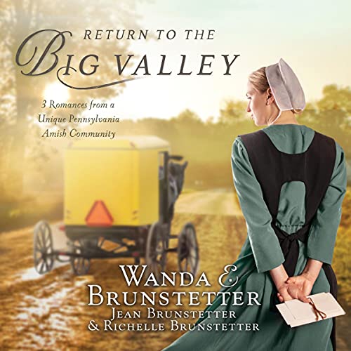Cover of Return to the Big Valley