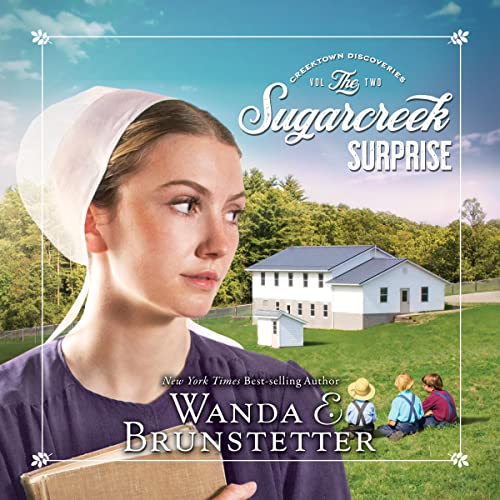 Cover of The Sugarcreek Surprise