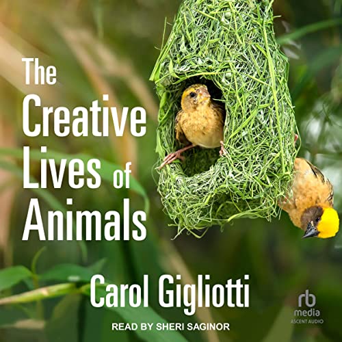 Cover of The Creative Lives of Animals