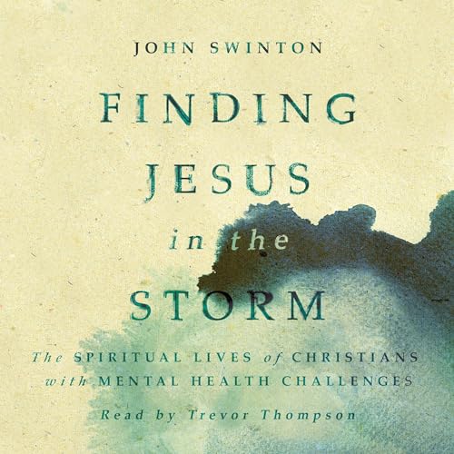 Cover of Finding Jesus in the Storm