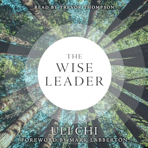 Cover of The Wise Leader