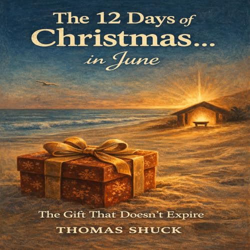 Cover of The 12 Days Of Christmas . . . In Summer