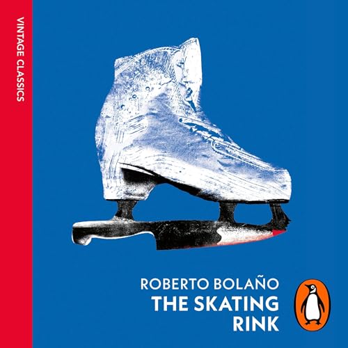 Cover of The Skating Rink