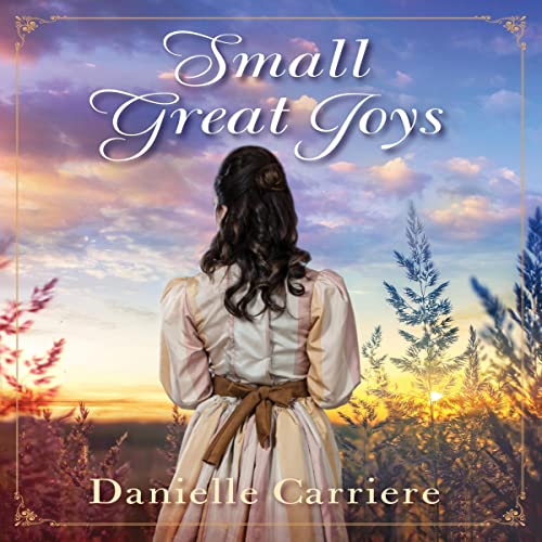 Cover of Small Great Joys