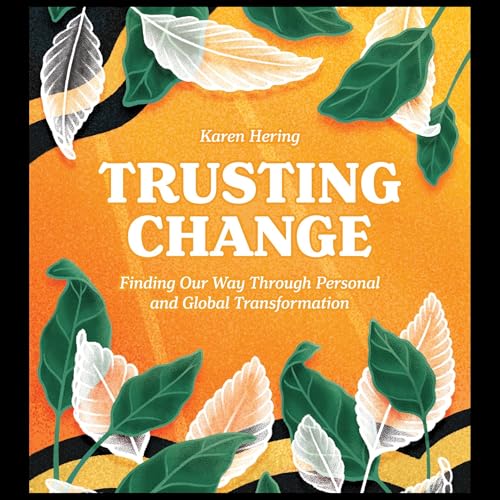 Cover of Trusting Change
