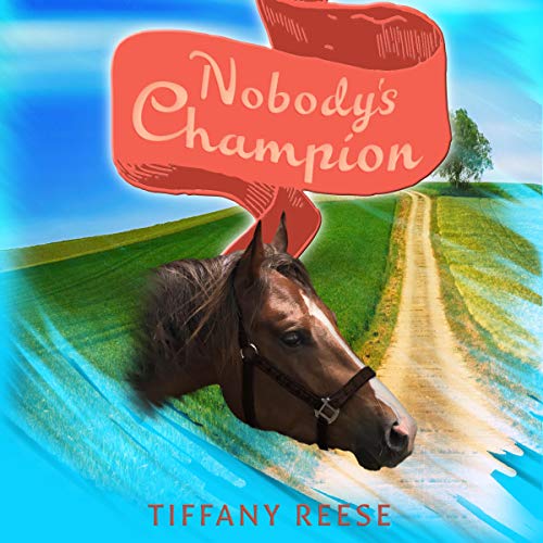 Cover of Nobody's Champion