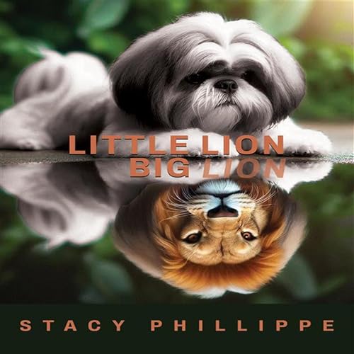 Cover of Little Lion Big Lion