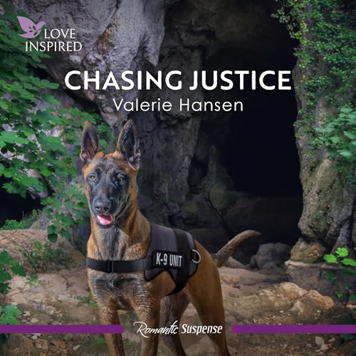 Cover of Chasing Justice