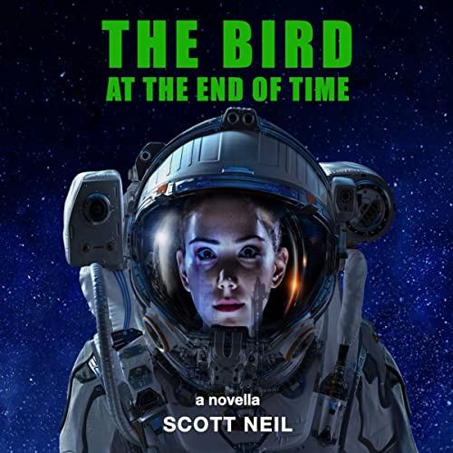 Cover of The Bird at the End of Time