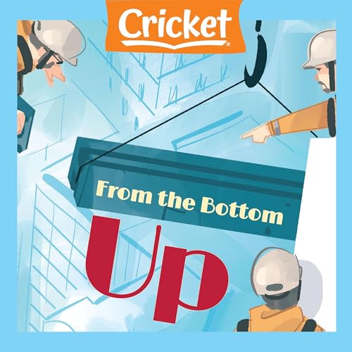 Cover of From the Bottom Up