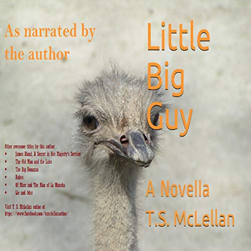 Cover of Little Big Guy