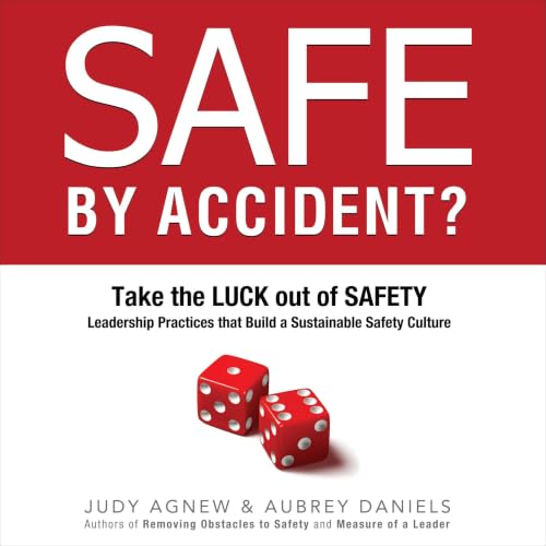 Cover of Safe by Accident?