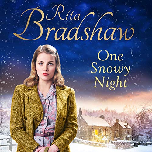 Cover of One Snowy Night