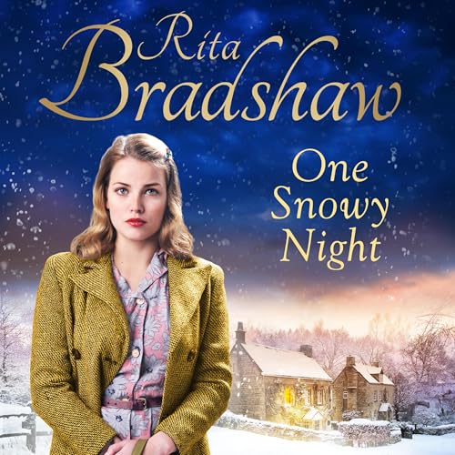Cover of One Snowy Night