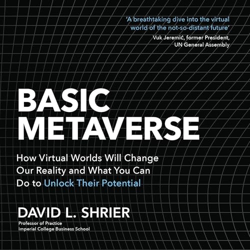 Cover of Basic Metaverse