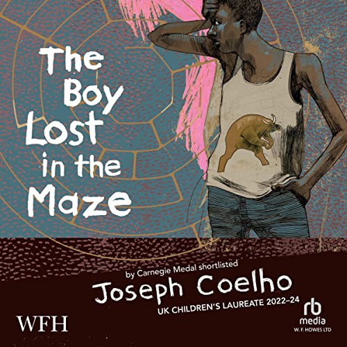 Cover of The Boy Lost In The Maze