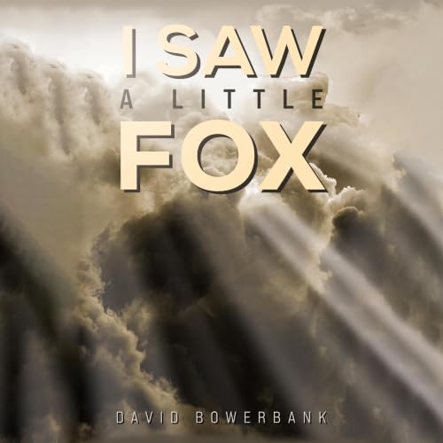 Cover of I Saw a Little Fox