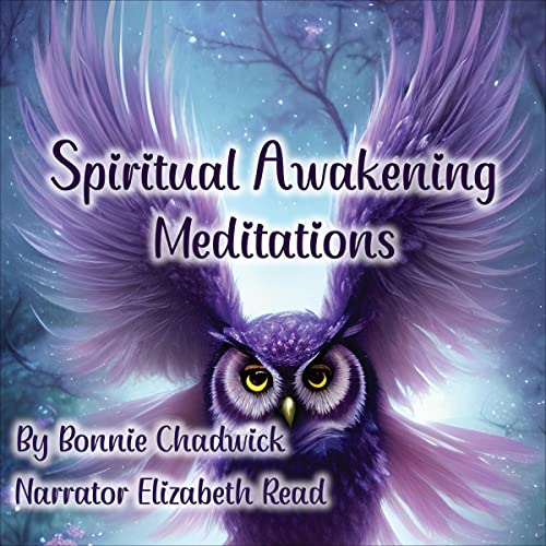 Cover of Spiritual Awakening Meditations