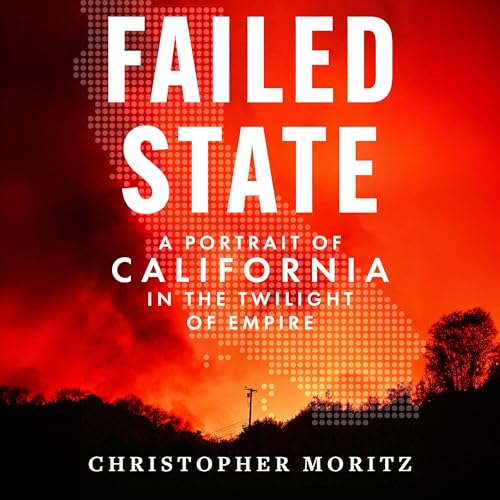 Cover of Failed State