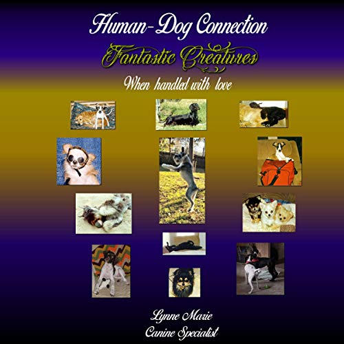 Cover of Fantastic Creatures: When Handled with Love