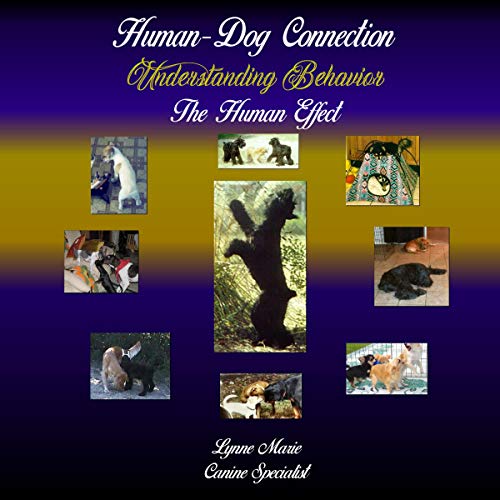 Cover of Understanding Behavior: The Human Effect