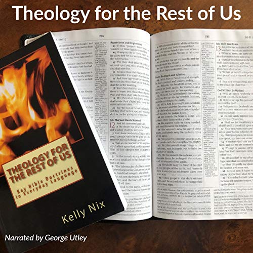 Cover of Theology for the Rest of Us