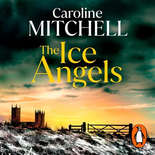 Cover of The Ice Angels