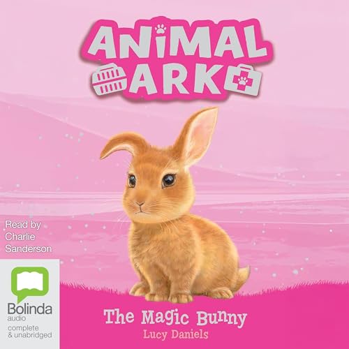 Cover of The Magic Bunny