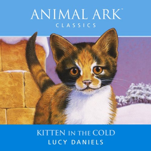 Cover of Kitten in the Cold