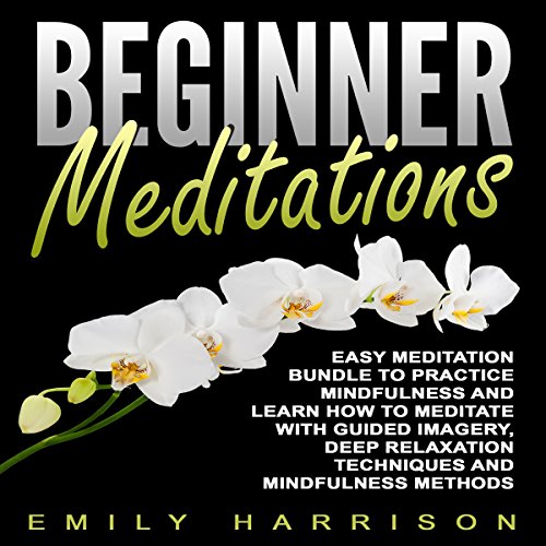 Cover of Beginner Meditations