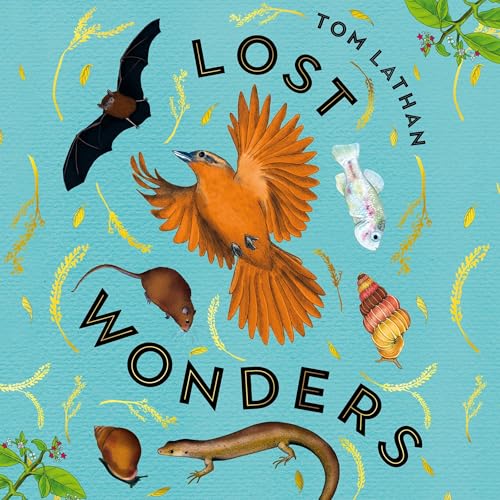 Cover of Lost Wonders